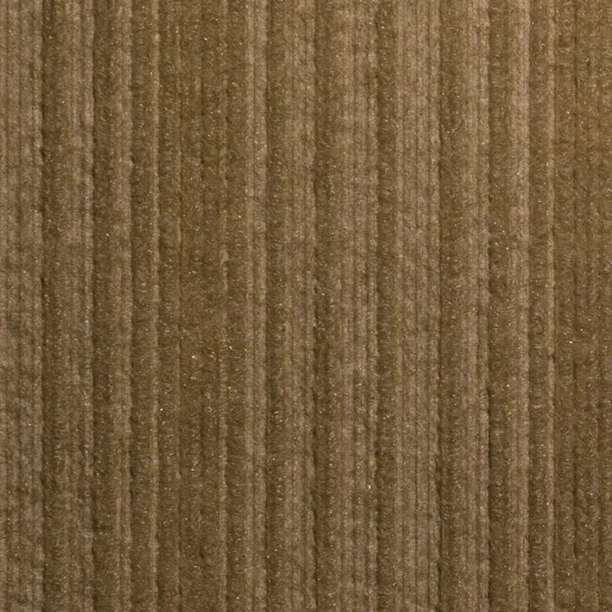 Acoustic Wall Stria
