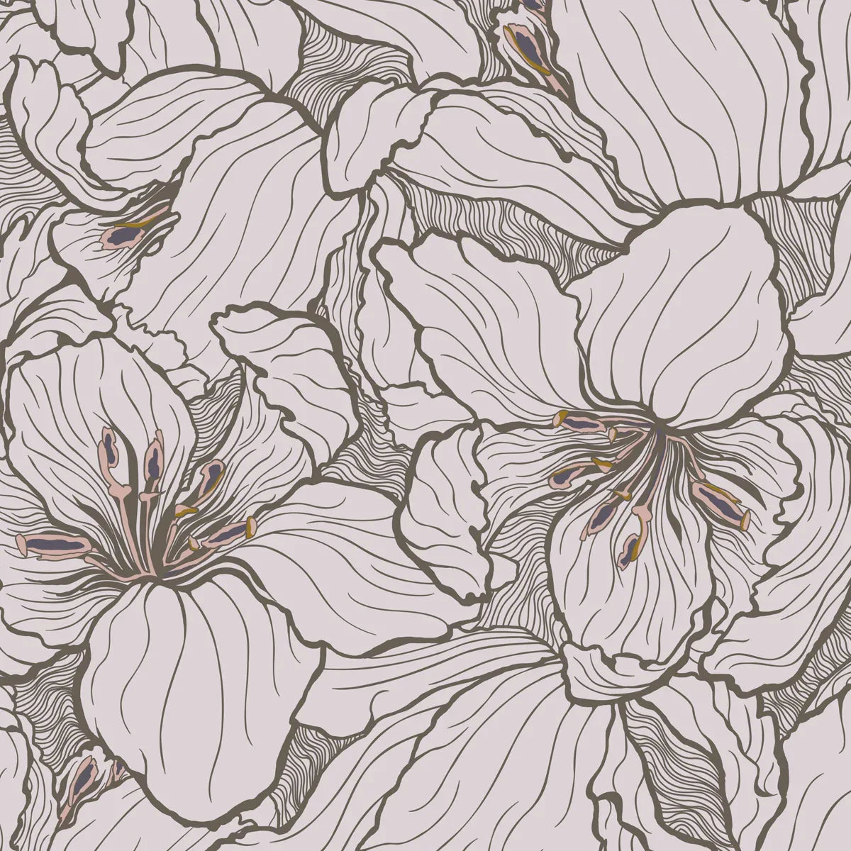 Tigerlily