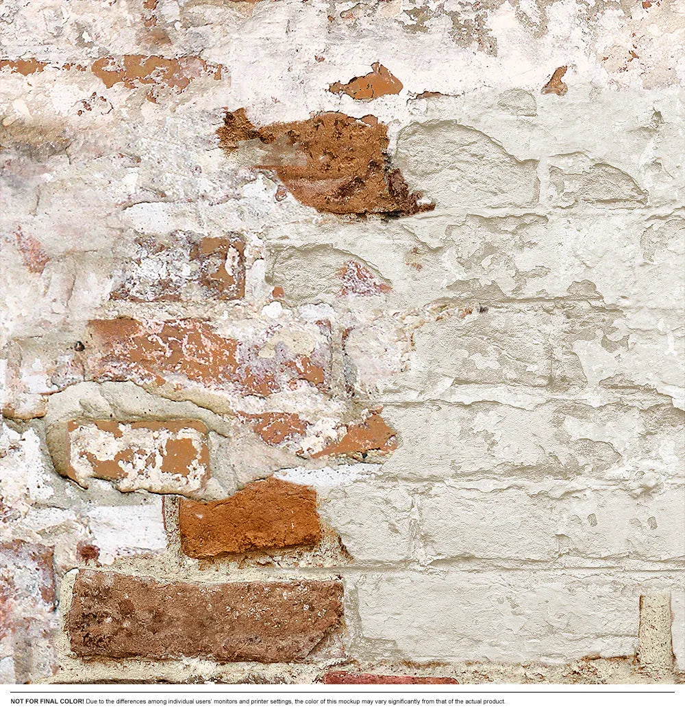 Timeworn Brick