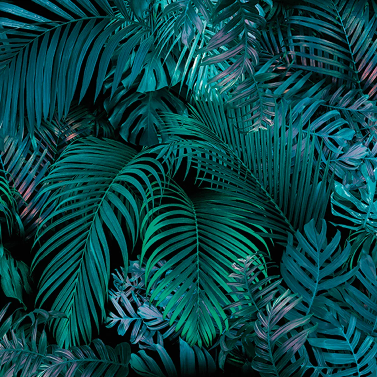 Urban Jungle