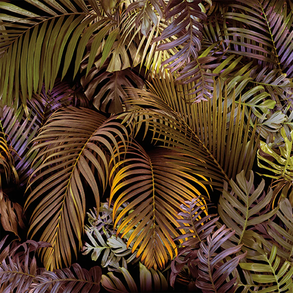 Urban Jungle