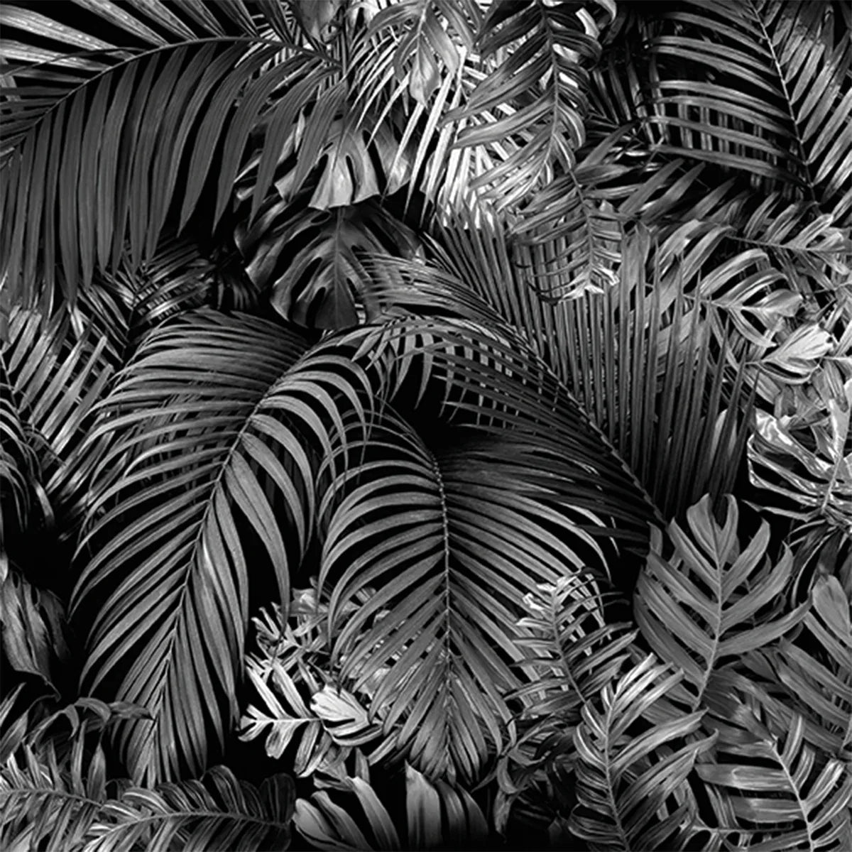 Urban Jungle