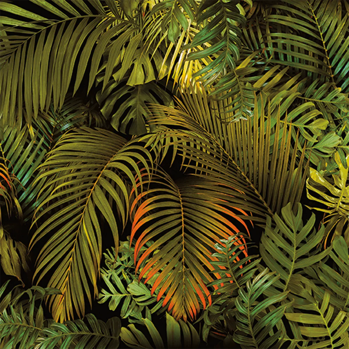 Urban Jungle