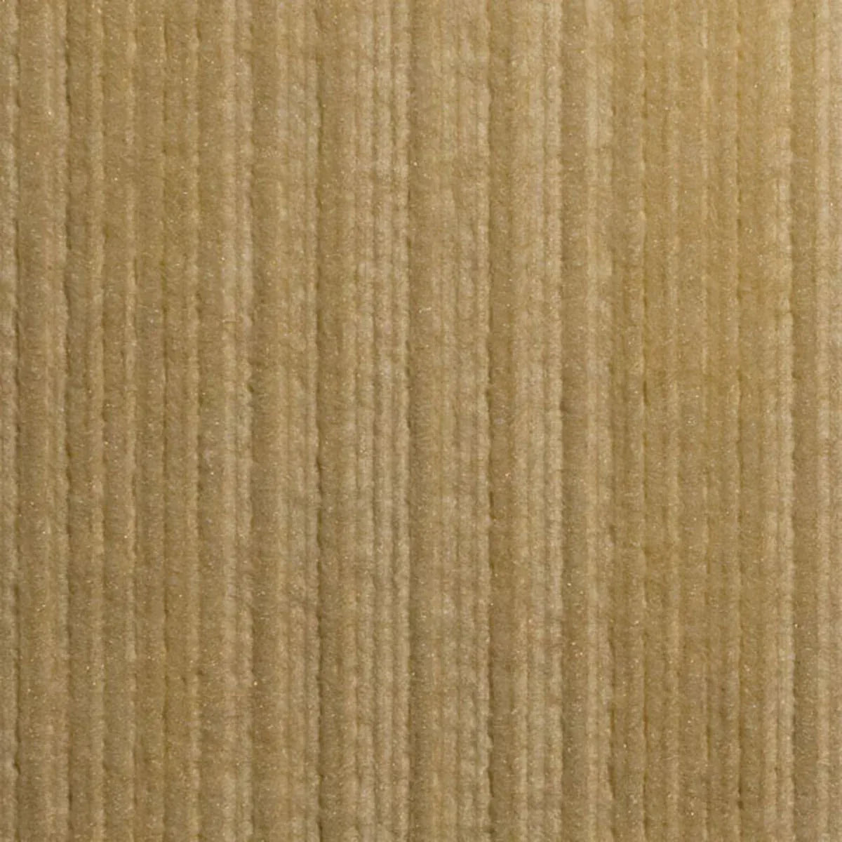 Virga