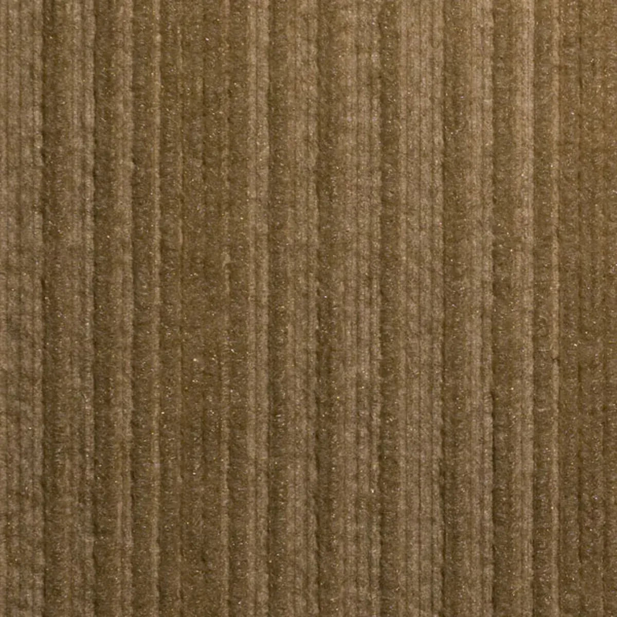 Virga