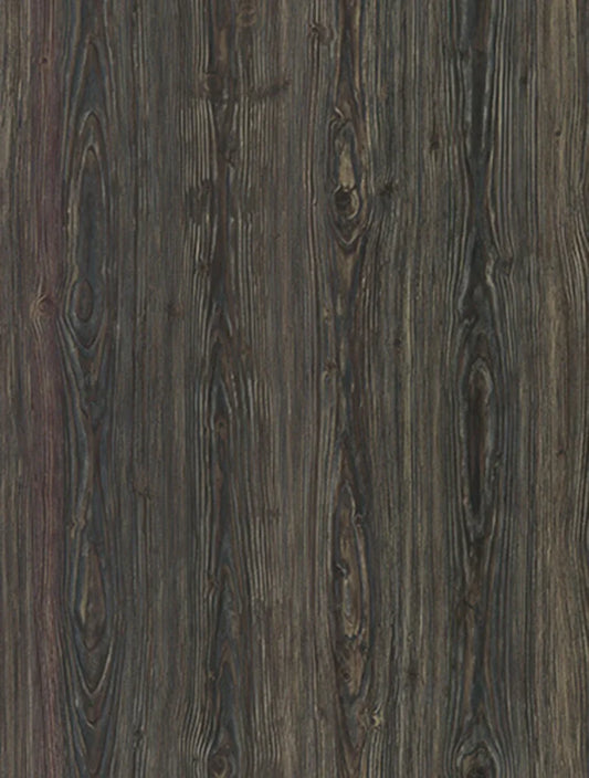 WA-031 Devilish Ebony