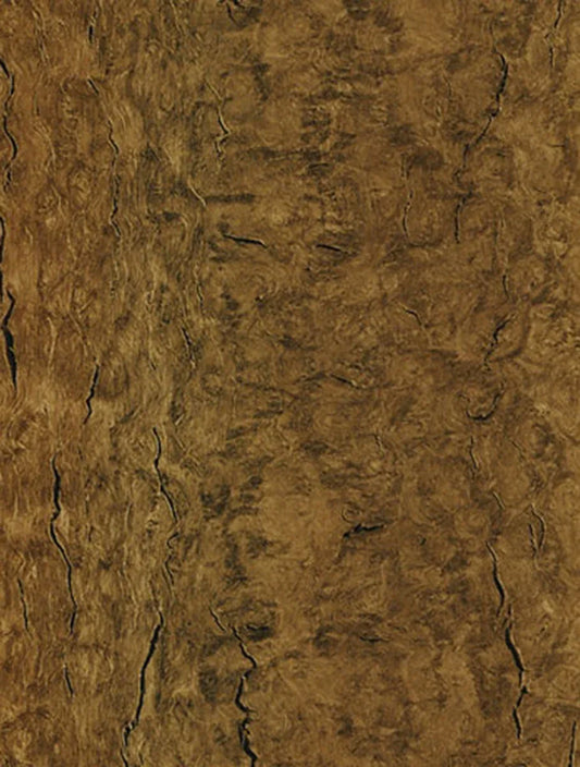 WB-005 Caramel Eucalyptus
