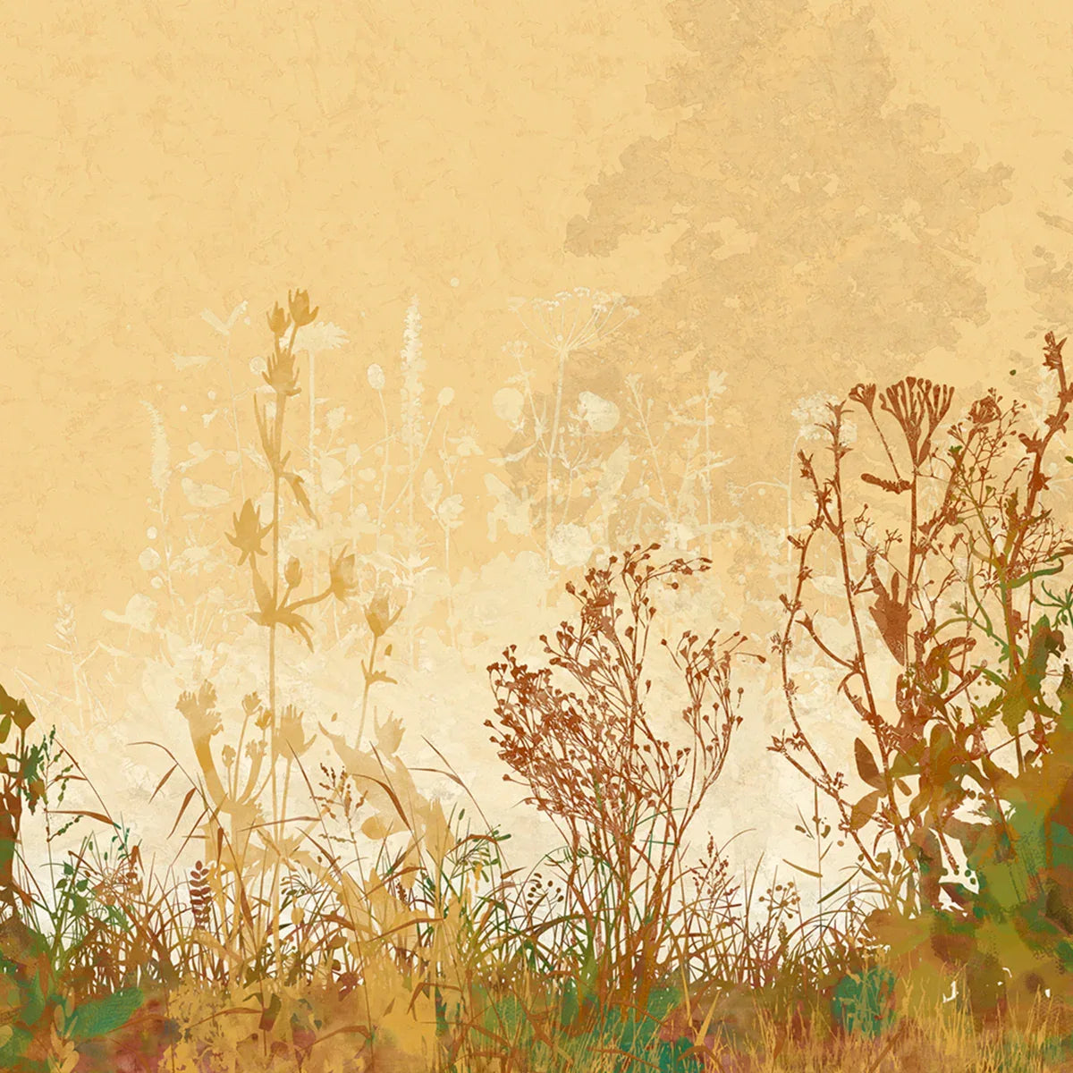 Wildflowers