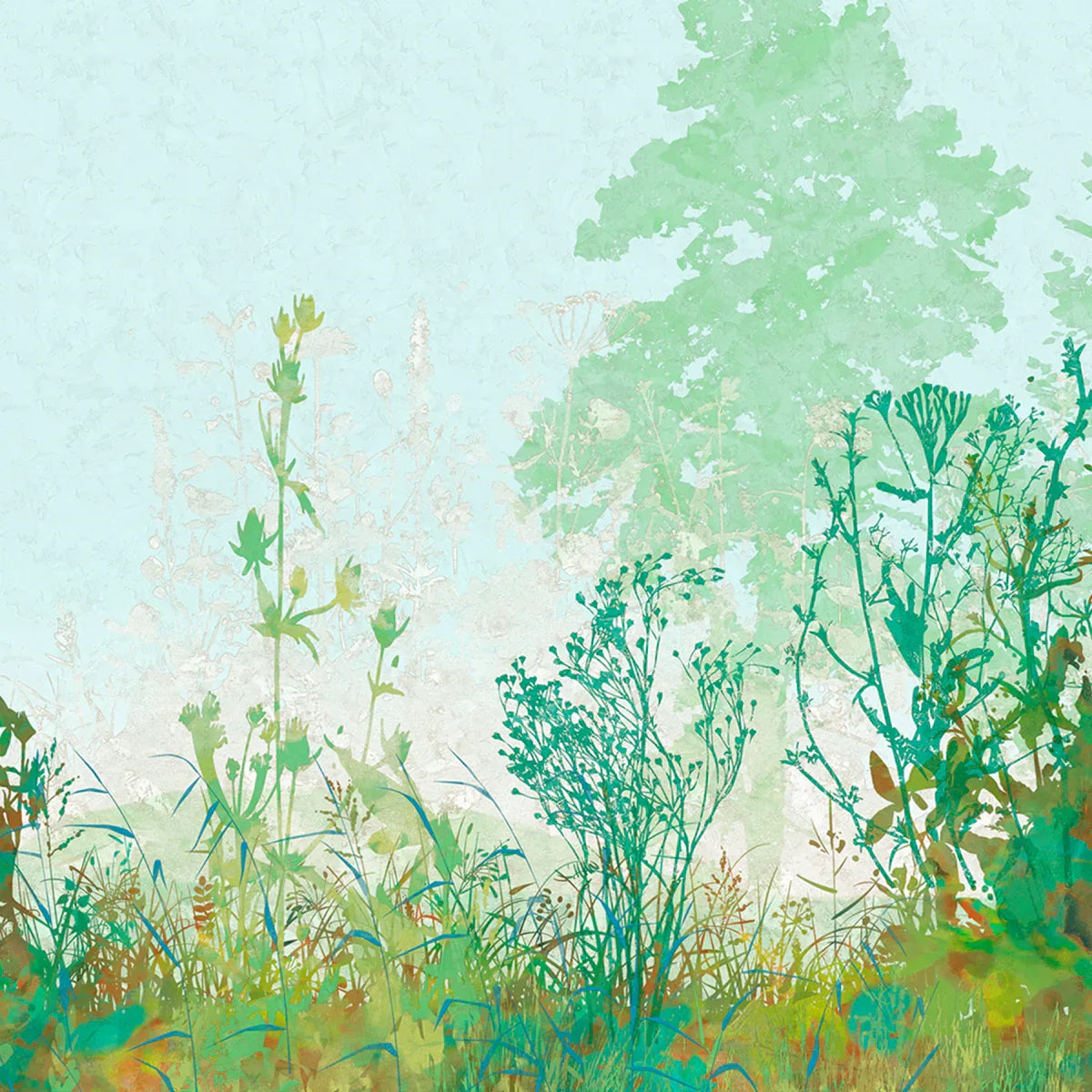 Wildflowers
