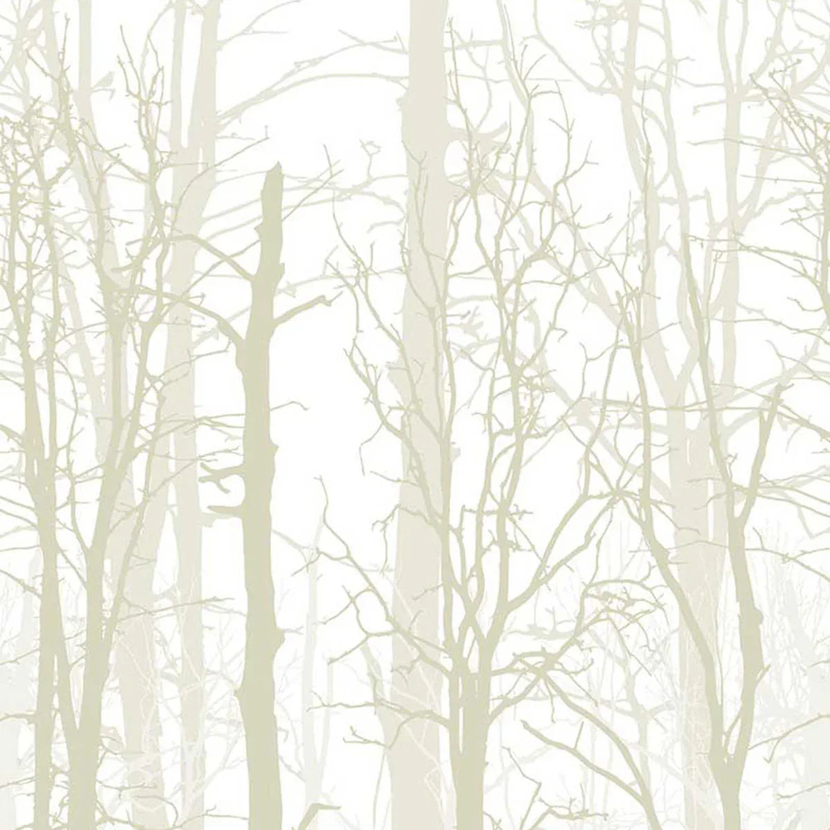 Winter Trees