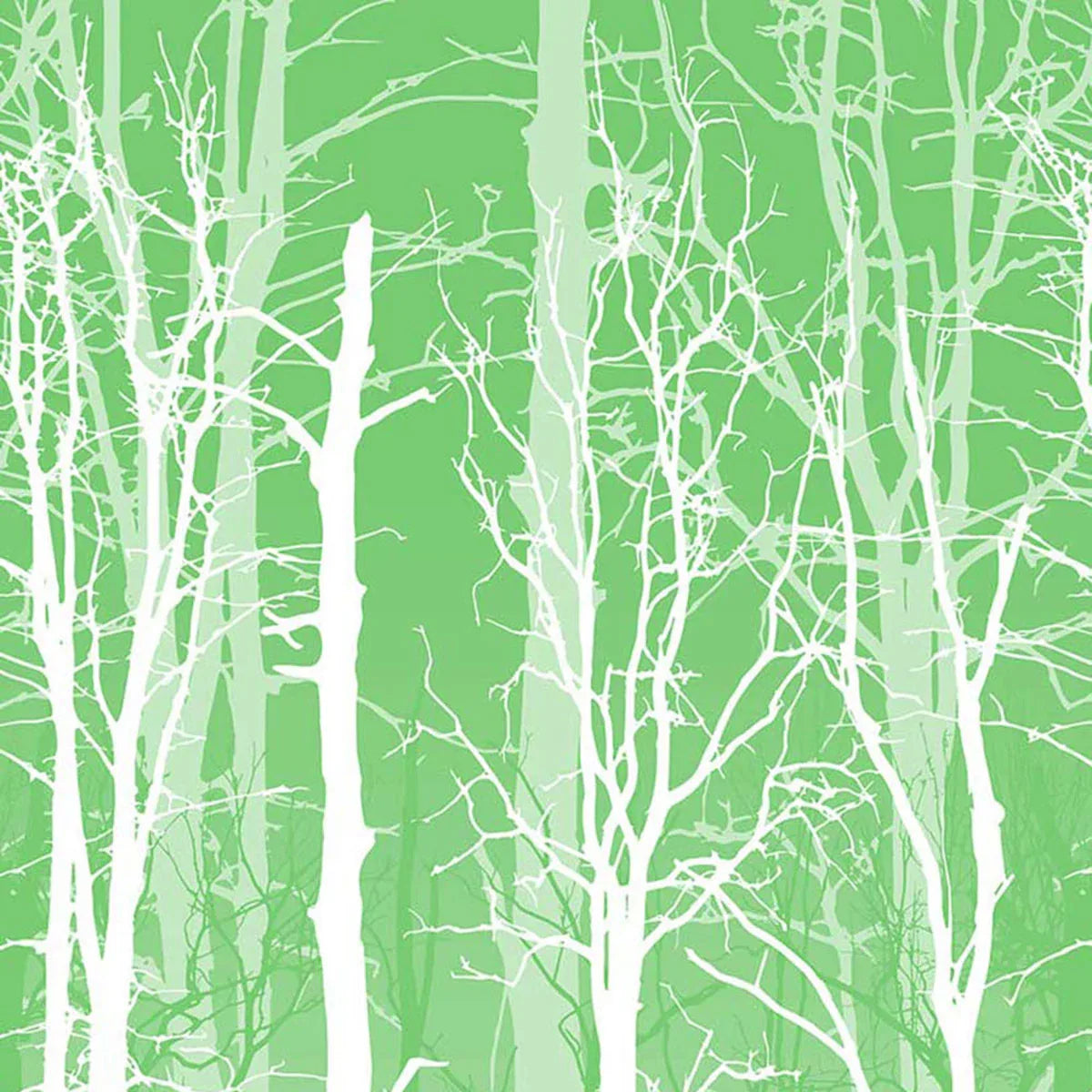 Winter Trees