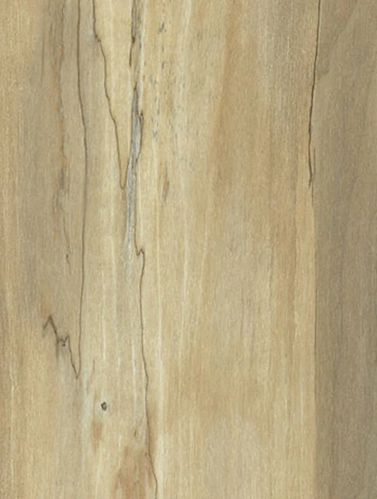 WM-037 Natural Spalted Maple