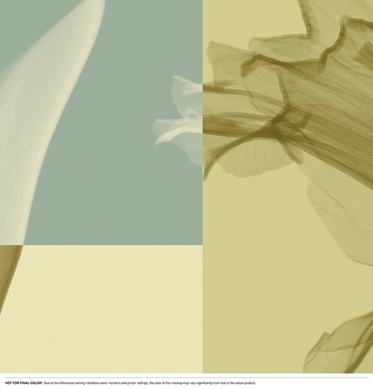 X-Ray Vision Squared