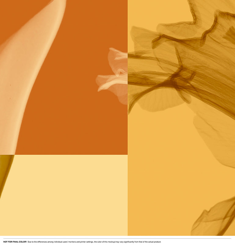 X-Ray Vision Squared