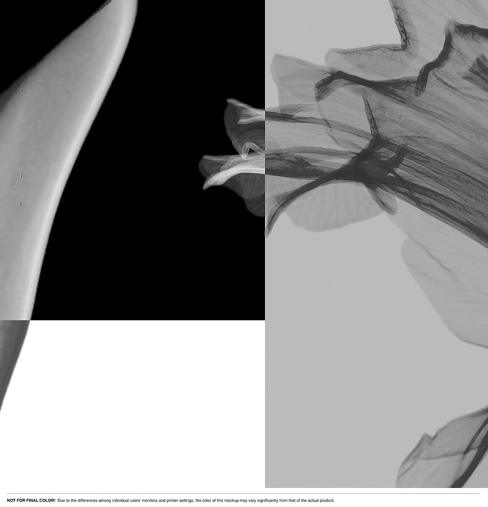 X-Ray Vision Squared