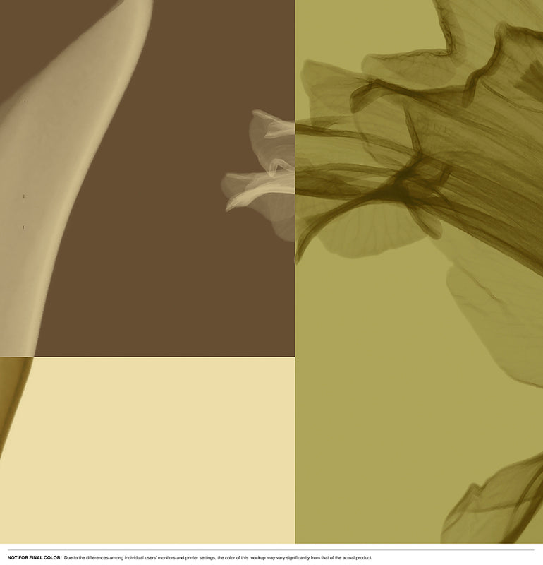 X-Ray Vision Squared