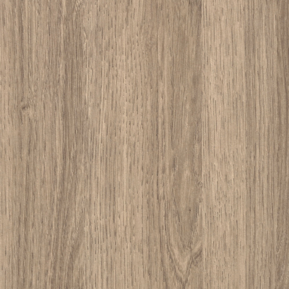 Avalon Oak 1558 Avalon-Oak-1558_copy