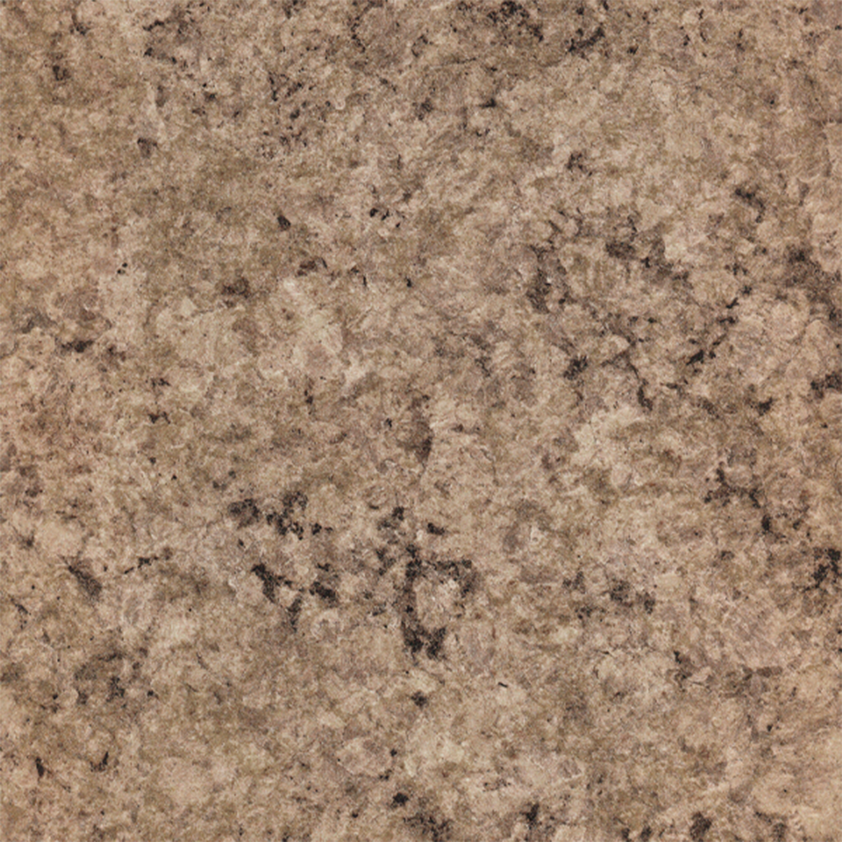 Granitto-Fossil-2724