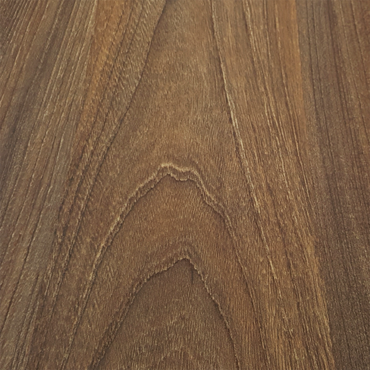 Natural-Elm-Tabacco1528