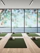 Eucalyptus Window Film