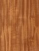WN-805 Cinnamon Chestnut