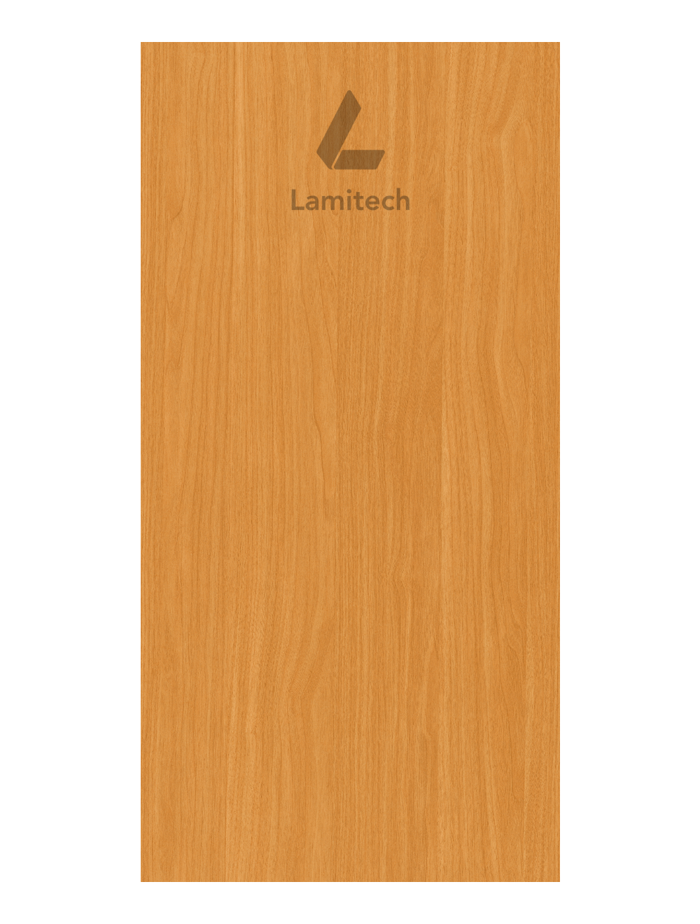 Ash 0470 Laminate | Medium Wood Finish| Surface