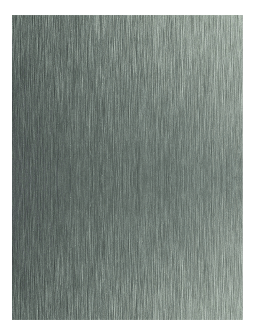 Stainless Steel Brush