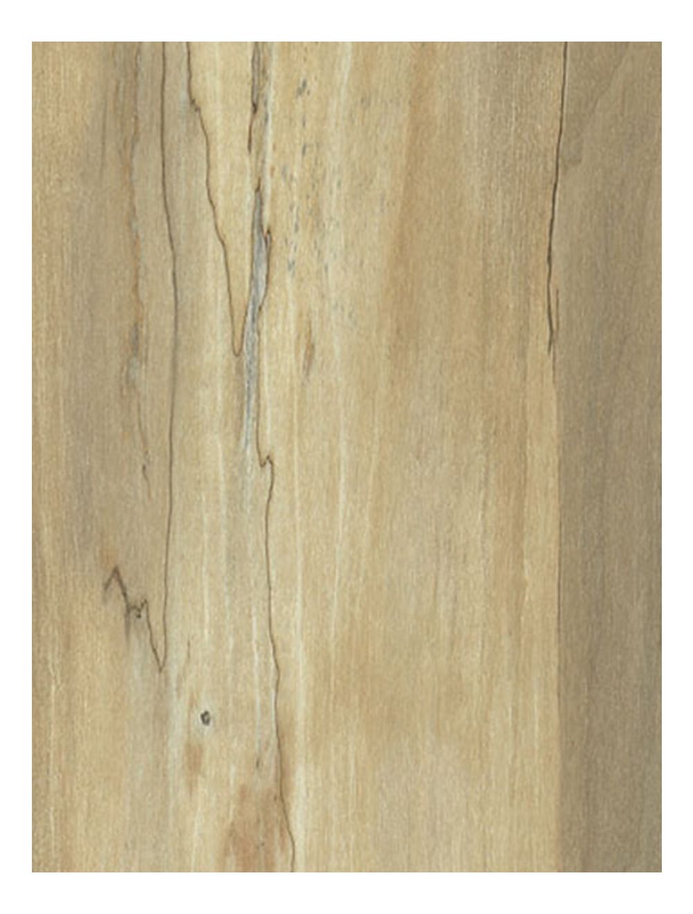 Natural Spalted Maple