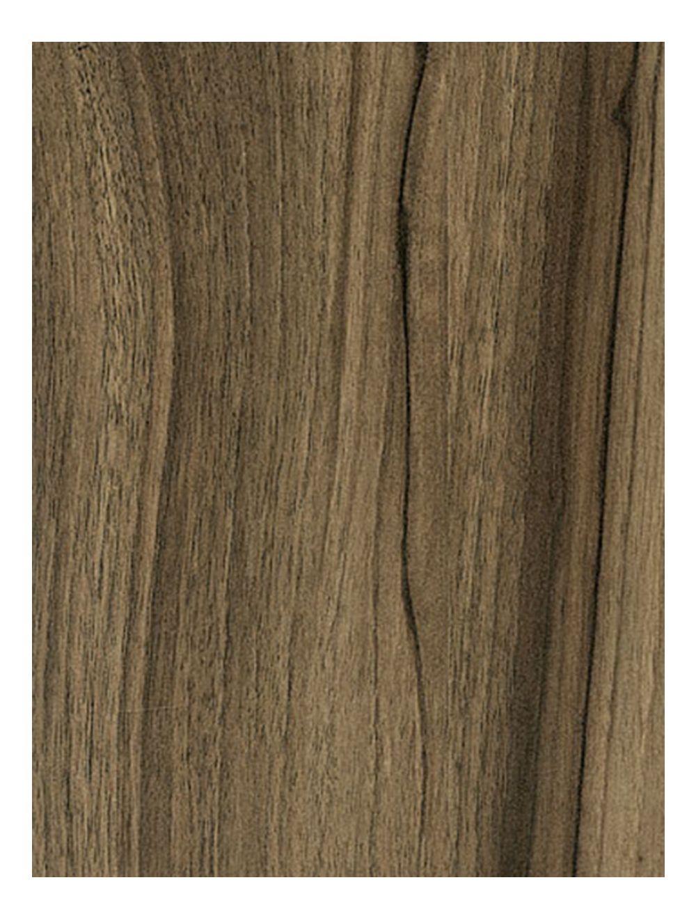 Peruvian Walnut