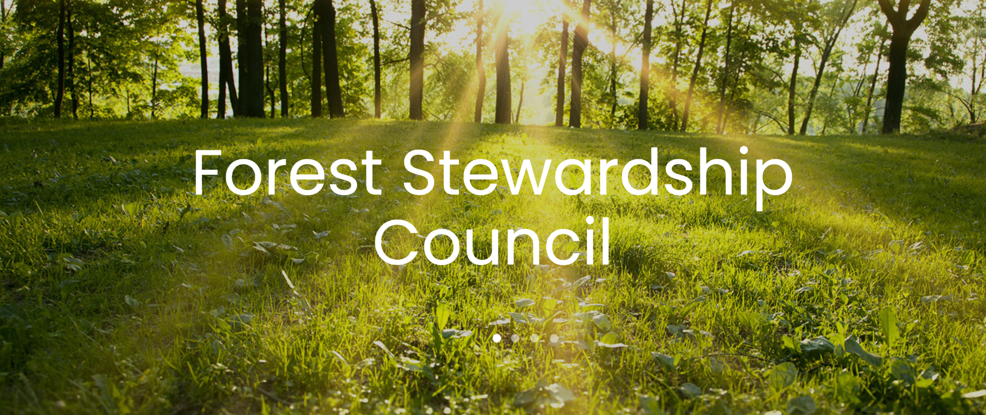 Screen_Shot_2022-04-19_at_8.50.36_AM