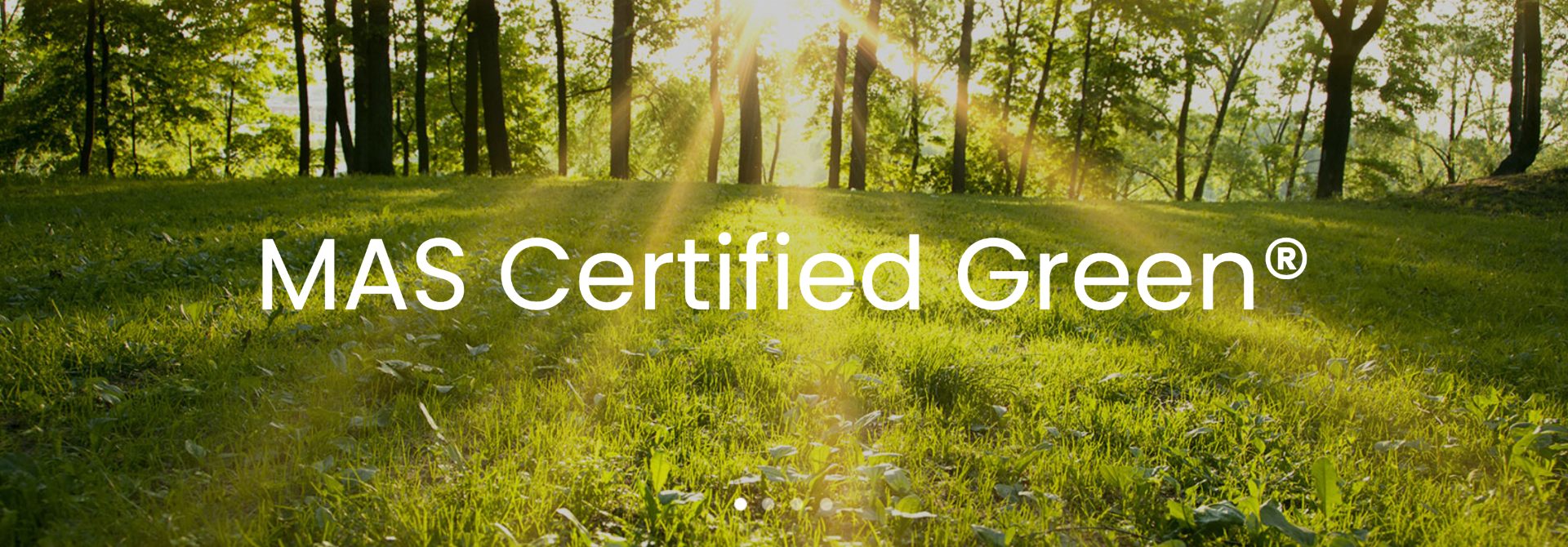 Screen_Shot_2022-04-19_at_8.56.44_AM