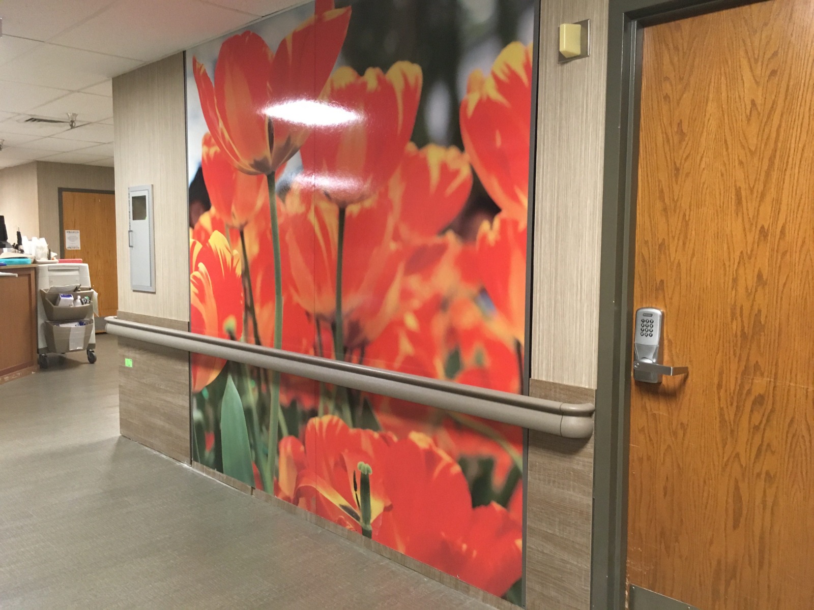 Lake Orion Nursing & Rehabilitation Center Case Studies Resources