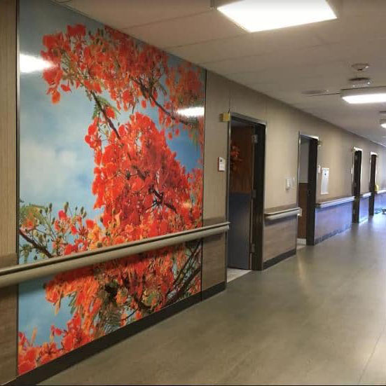 Lake Orion Nursing & Rehabilitation Center