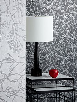 CanyonWillow_WhatsNew_1